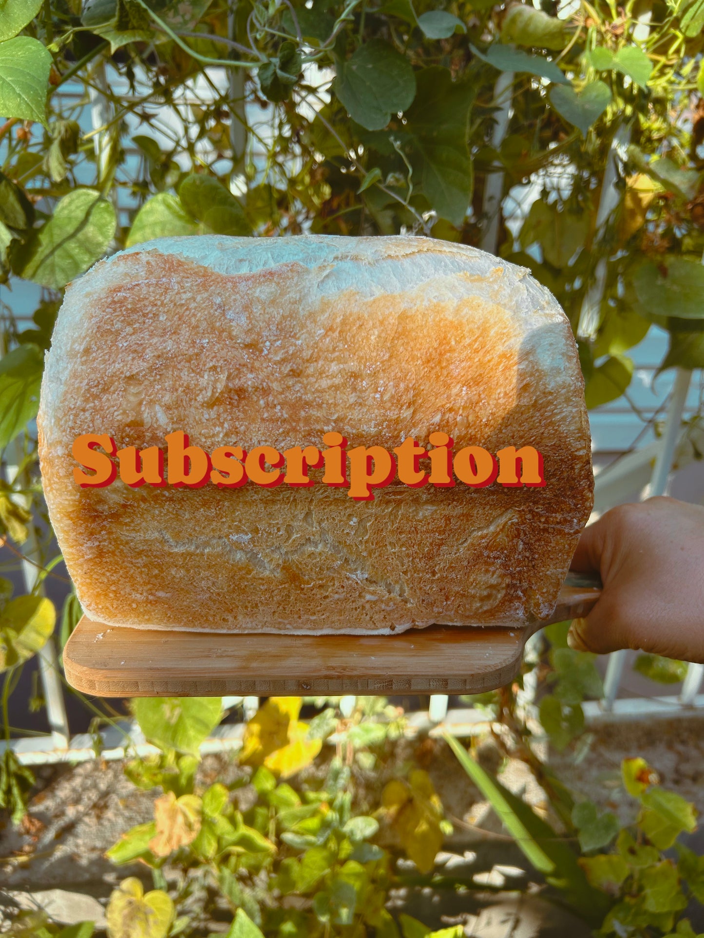 The Hedwig Loaf (Subscription Discount)