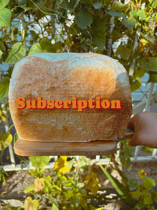 The Hedwig Loaf (Subscription Discount)