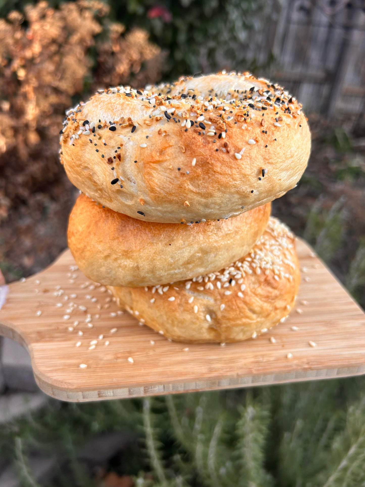 Bilbo's Bagels