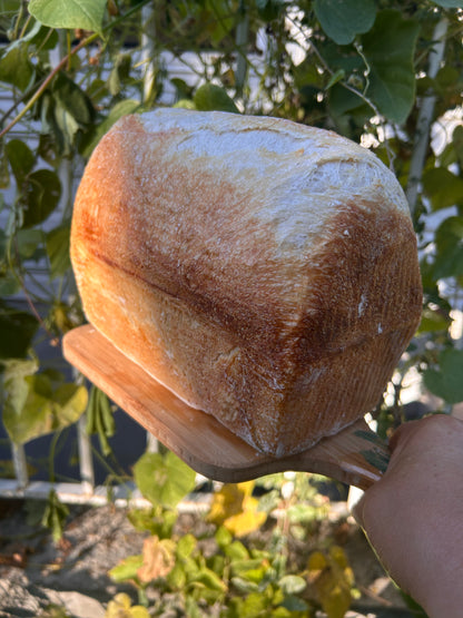 The Hedwig Loaf (one-time purchase)