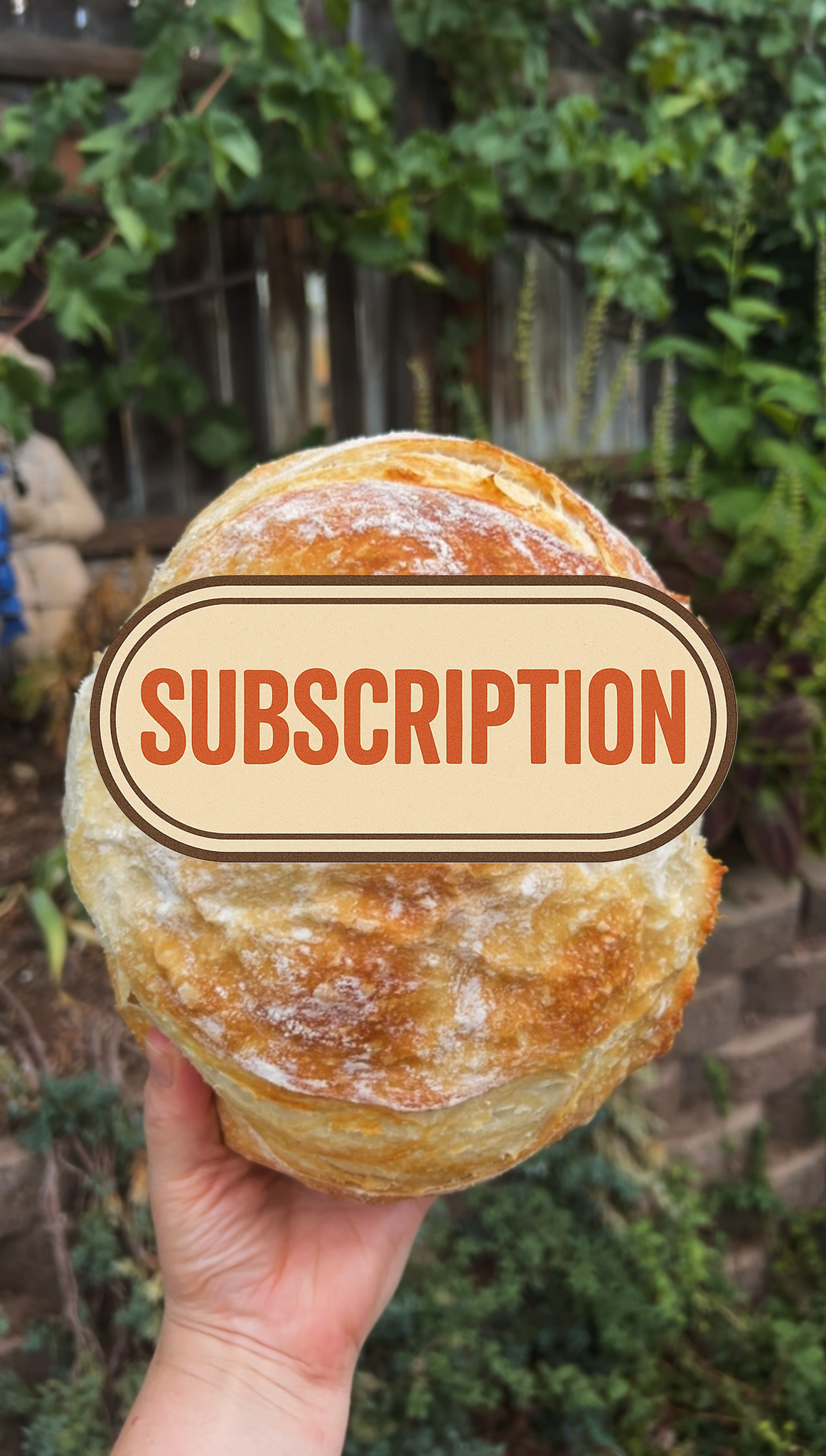 The Frankie Loaf (Subscription Discount)