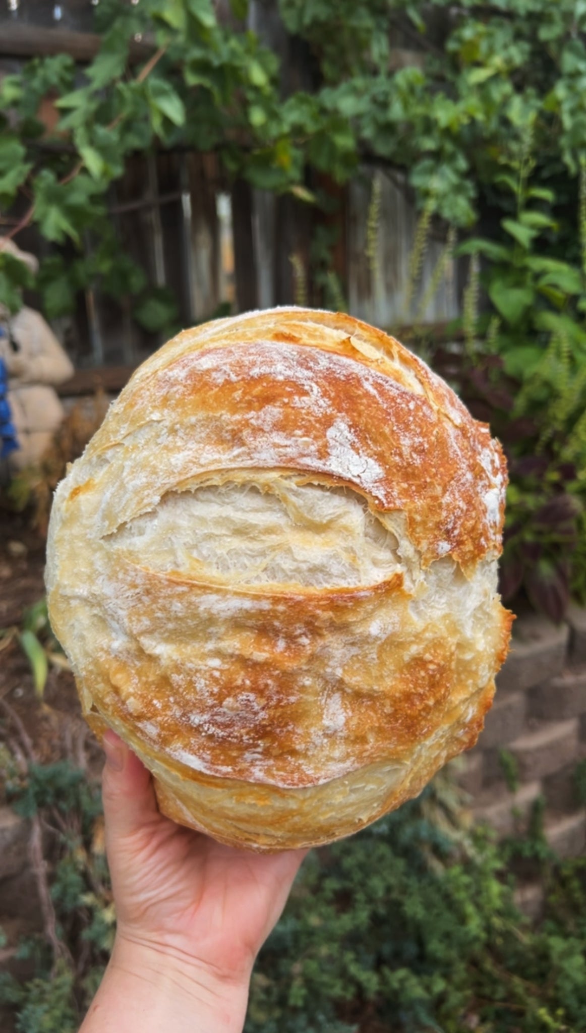 The Frankie Loaf (one-time purchase)